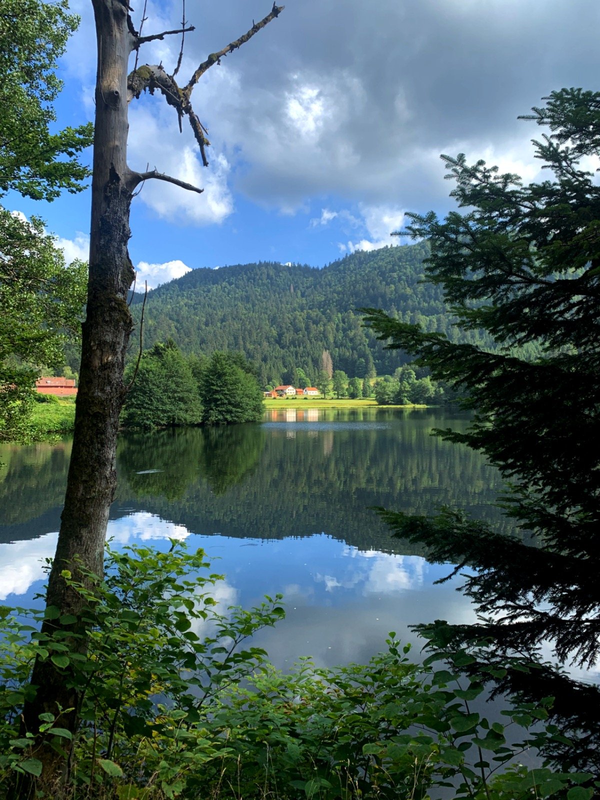Bergmeer met spiegeling omgeven door bos en een houten huisje
