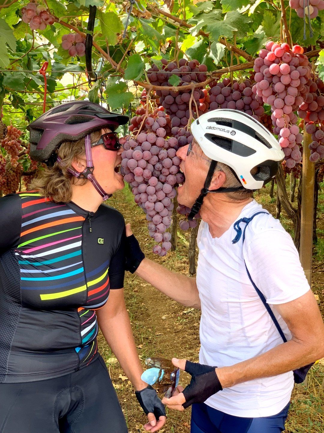 Twee deelnemers eten van een tros druiven ergens in Puglia niemandsland in Zuid-Italië