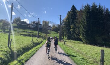 Groep fietsers op smalle asfaltweg in afdaling langs weilanden en zon in de Vogezen