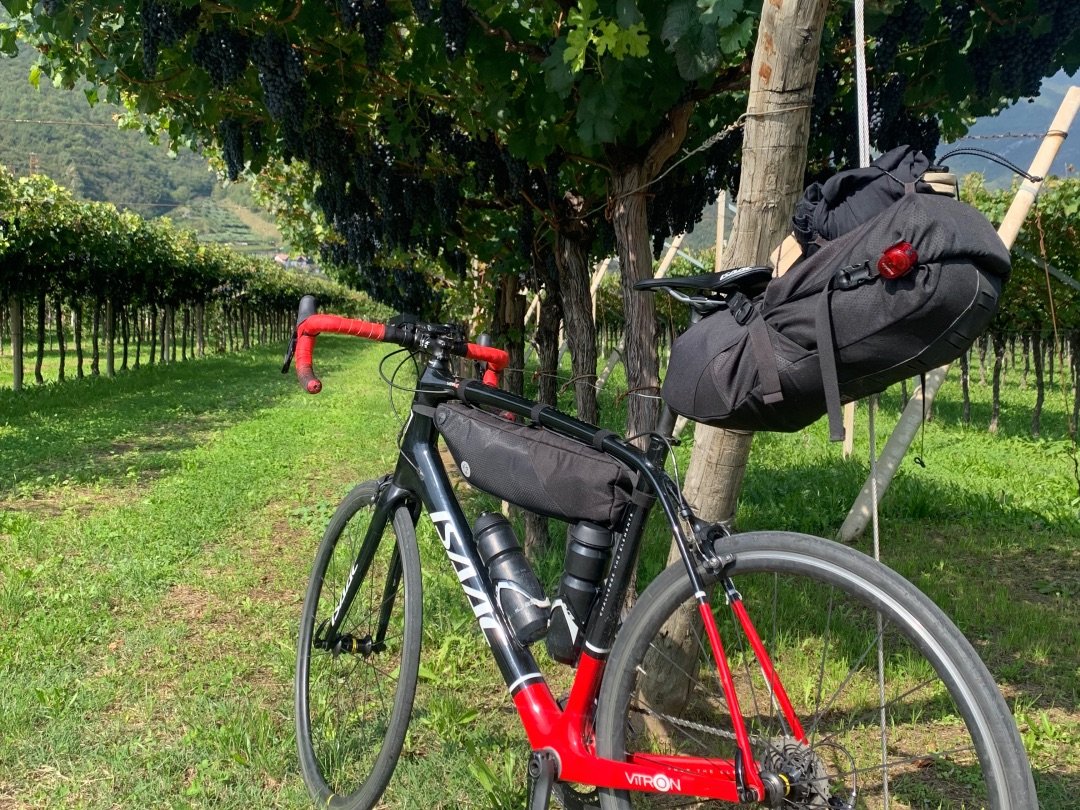 Fiets met bikepacking fietstassen in wijngaard in Noord-Italië, Trento, Val d'Adige