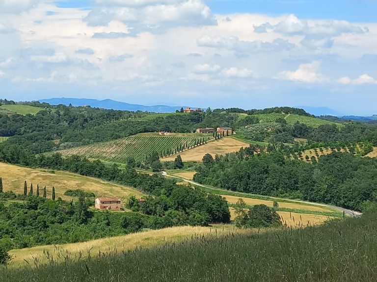 Foto Toscaanse natuur met cipressen en glooiend landschap