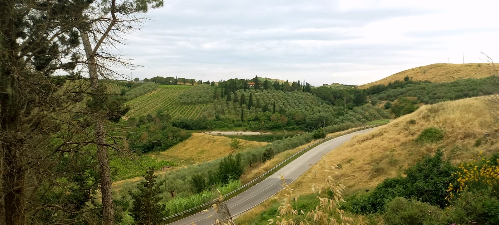 Uitzicht vanaf een B&B in Toscane met groene en gele velden