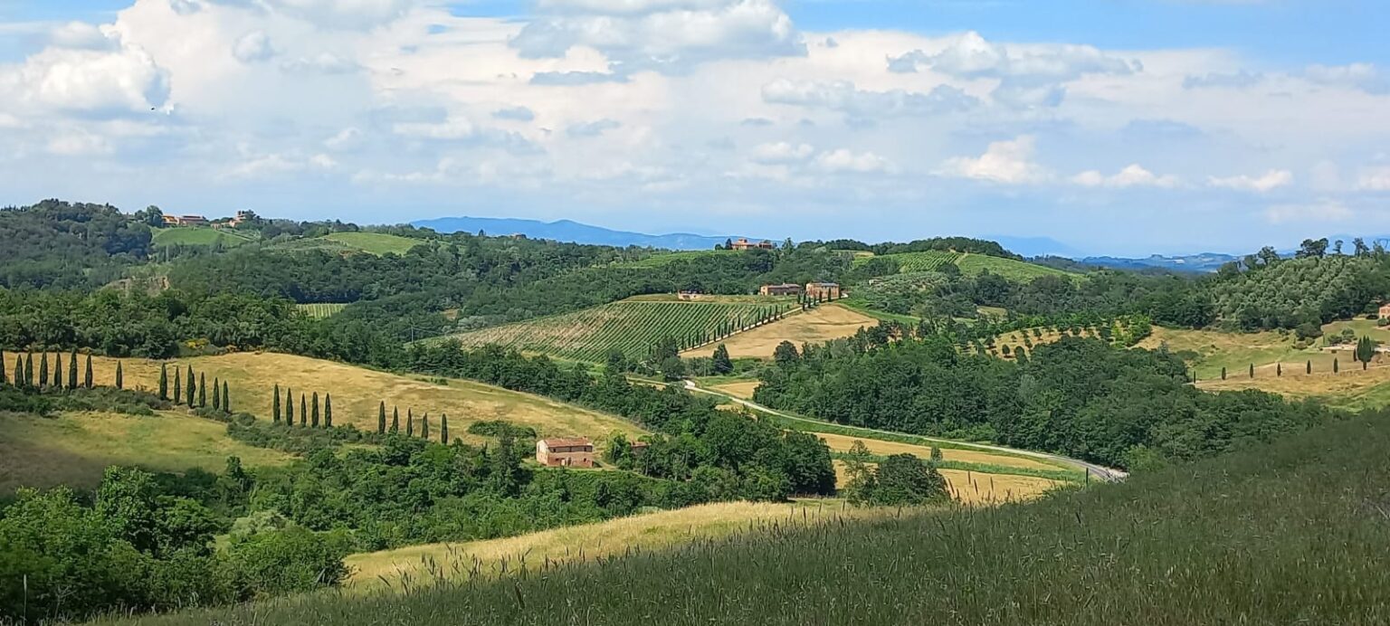 Landschap in Toscane met gele en groene velden en wegen geflankeerd door cipressen onder een blauwe lucht
