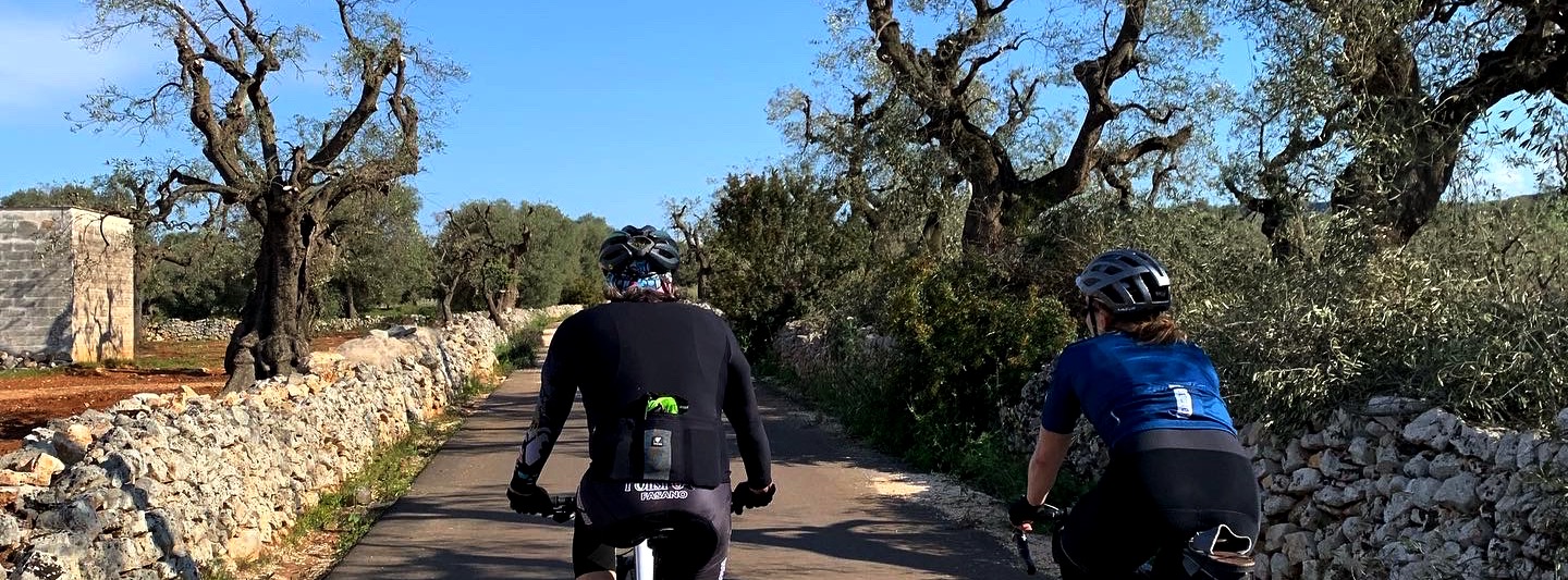 Twee fietsers tussen de olijfgaarden in Puglia bij Ostuni en Monopoli Italië