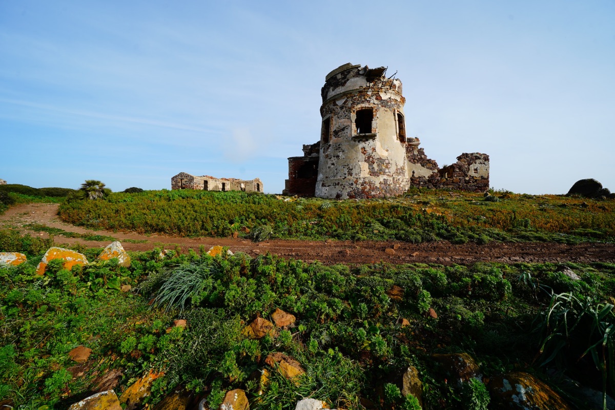 Uitzicht op eiland Sant'Antioco met een half vervallen toren omringd door groen.
