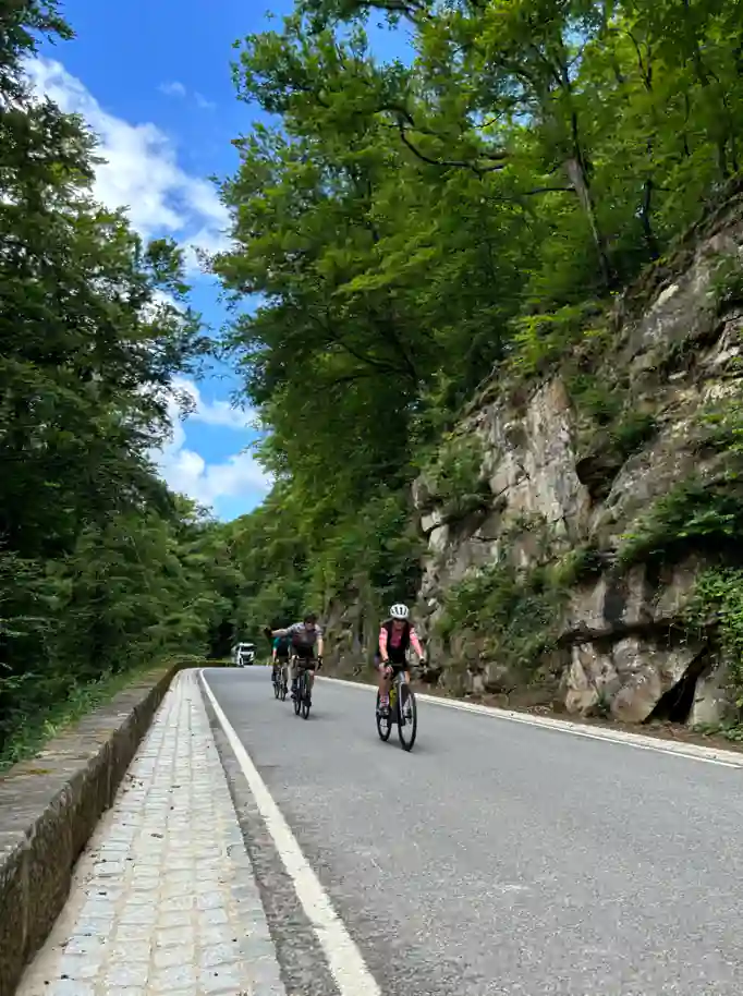 a group of people riding bicycles on a road with trees