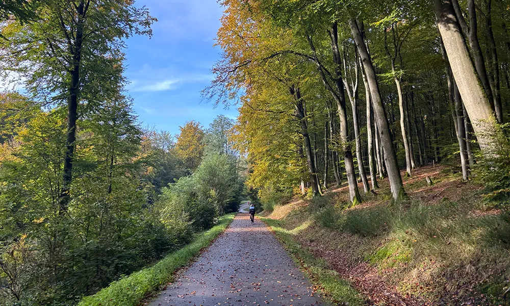 fietsen-mullerthal-luxemburg