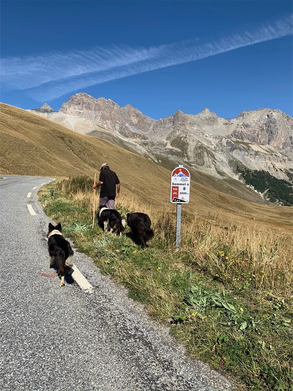 8km tot sommet galibier met herder en honden