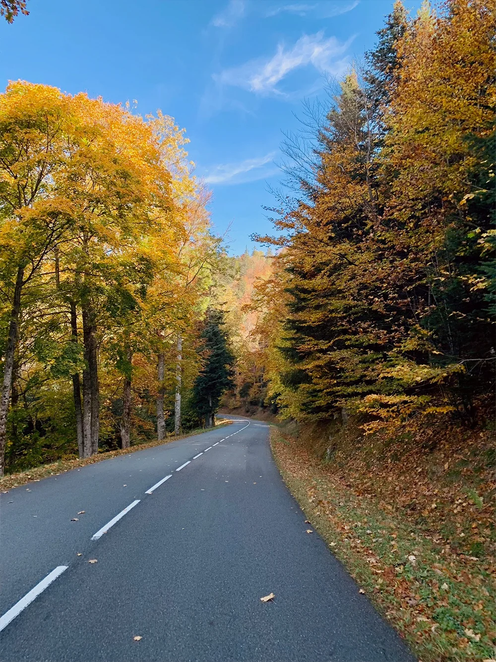 afdaling-fietsen-herfst