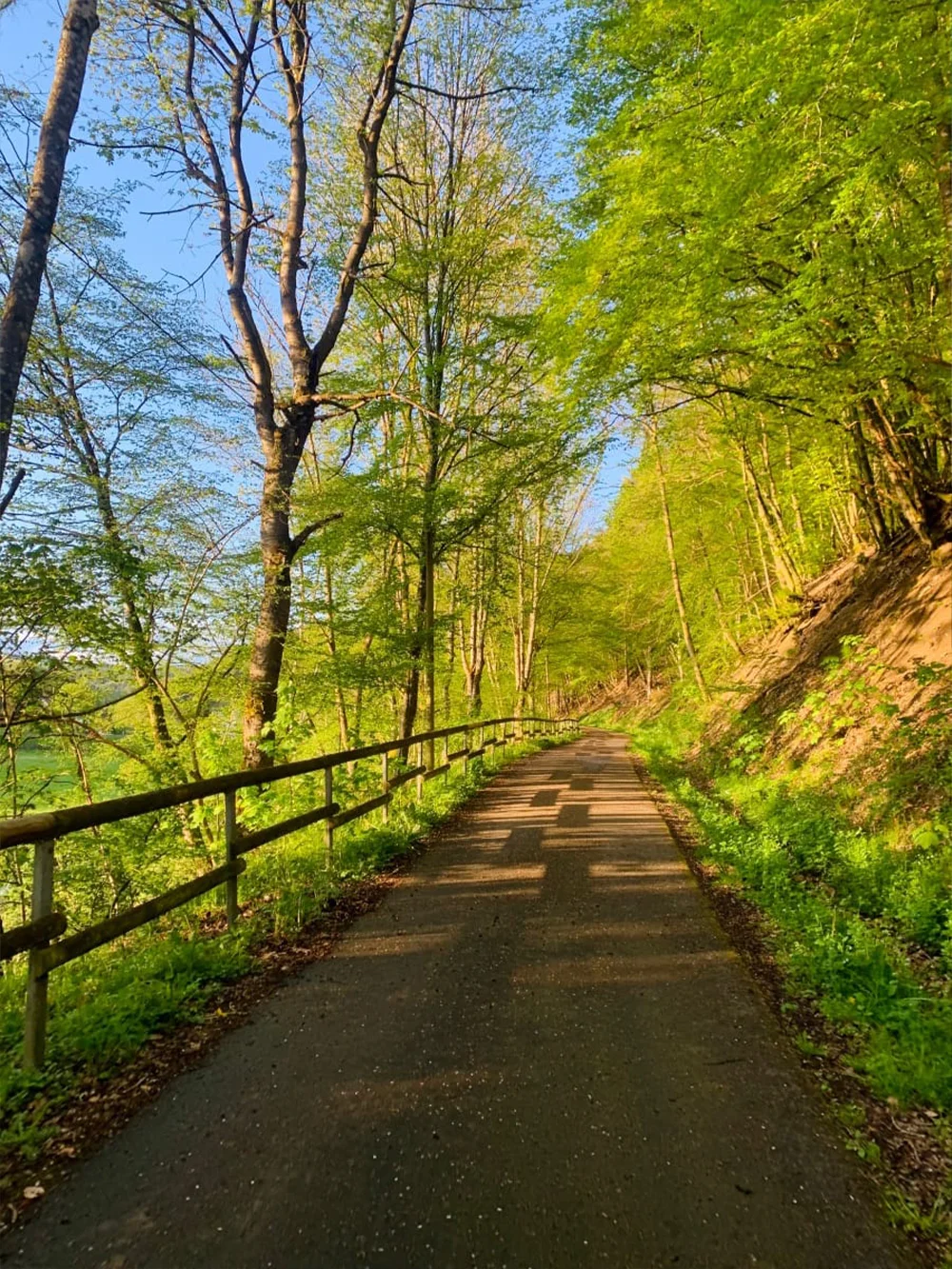 Fietspad-groen-houten-hek Fietspad in de Vulkaneifel bij Gerolstein langs een rivier in prachtig groen en zon.