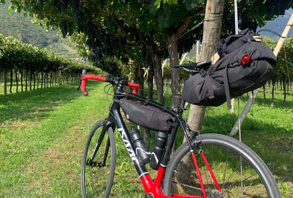 fiets_in_wijngaard_nabij_trento_noord-italie