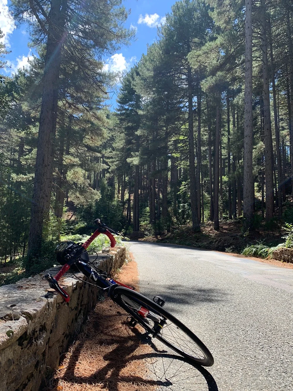 Fiets in naaldbos Monte Cinto Fiets ligt langs de weg in een naaldbos nabij Monte Cinto in het noorden van Corsica