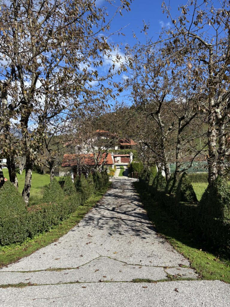 slovenie-kobarid-livek-oprijlaan-accommodatie Livek Slovenie een oprit van een accommodatie in de natuur met blauwe lucht