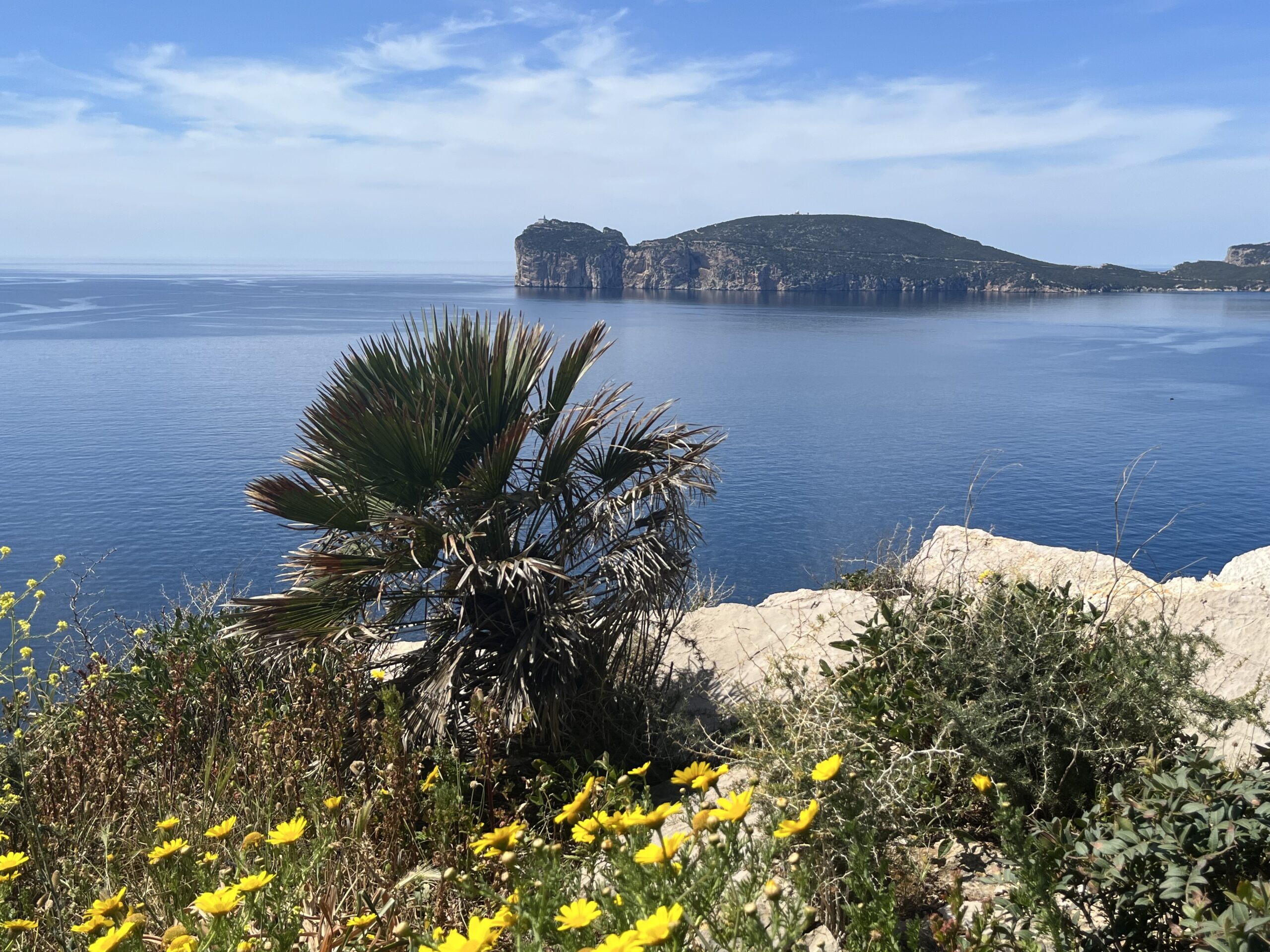 Alghero zicht op Capo Caccia
